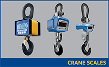 crane-scales